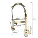 GobekUsa Gold Spring Spout Kitchen Faucet - Single Pull Out Mixer Tap