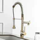 GobekUsa Gold Spring Spout Kitchen Faucet - Single Pull Out Mixer Tap