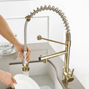 GobekUsa Gold Spring Spout Kitchen Faucet - Single Pull Out Mixer Tap