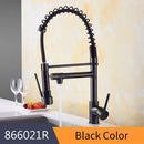 GobekUsa Gold Spring Spout Kitchen Faucet - Single Pull Out Mixer Tap