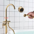 GobekUsa Gold Tub Sink Faucet with Handshower