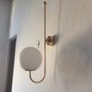 GobekUsa Modern Golden Gooseneck Wall Sconce with Frosted Glass Ball Shade for Bedroom