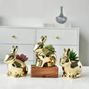 Modern golden rabbit ceramic flower pot living room succulent vase by Decorbites