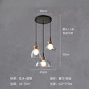 GobekUsa Clear Glass Pendant Lamp with LED Lights for Home Decor