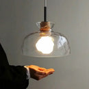 GobekUsa Clear Glass Pendant Lamp with LED Lights for Home Decor