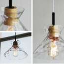 GobekUsa Clear Glass Pendant Lamp with LED Lights for Home Decor