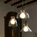 GobekUsa Clear Glass Pendant Lamp with LED Lights for Home Decor