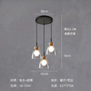 GobekUsa Clear Glass Pendant Lamp with LED Lights for Home Decor