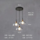 GobekUsa Clear Glass Pendant Lamp with LED Lights for Home Decor