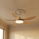 Modern Keltis Fan Blade Ceiling Fan Lights