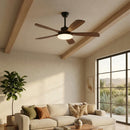 Modern Keltis Fan Blade Ceiling Fan Lights
