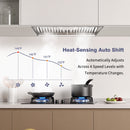 30" Range Hood Insert ,600 CFM Stainless Steel Kitchen Vent Hood with 4 Speeds 3CCT LED Lights - NX-19IS-30
