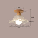 GobekUsa Clear Glass LED Ceiling Light Fixture for Modern Home Aisle Balcony Restaurant Hallway Lighting