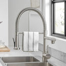 GobekUsa Black Spring Kitchen Faucet with Sprayer and Brushed Nickel Finish