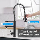 GobekUsa Black Chrome Tall Kitchen Faucet with Pull Down Spray and Swivel Spout