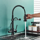 GobekUsa Black Dual Handle Kitchen Faucet with Water Purification Feature, 360° Rotation
