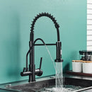 GobekUsa Black Dual Handle Kitchen Faucet with Water Purification Feature, 360° Rotation