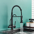 GobekUsa Black Dual Handle Kitchen Faucet with Water Purification Feature, 360° Rotation