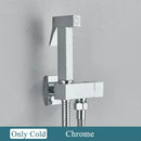 GobekUsa Brass Bidet Faucet Single Cold Water Black Toilet Sprayer Valve Jet Set
