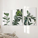 Botanical Set of 3 Prints. Tropical Monstera, Rubber Plant by Wall Art Set