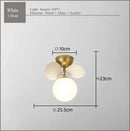 GobekUsa Frost Glass Ceiling Chandelier for Home Indoor Lighting