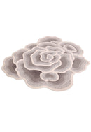 Modern Petal Layers Ivory Hand Tufted 6x8 Wool Area Rug