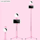 GobekUsa LED Mirror Light with Metallic Shade & Mobile Holder - Modern Pink Circle Design