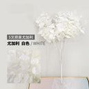 Modern pink eucalyptus flower arrangement living room glass vase by Decorbites