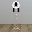 GobekUsa Modern Pink USB LED Circle Mirror Phone Stand with Mobile Lighting Feature
