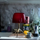 GobekUsa Glass Shade Table Lamp: Designer Tripod Desk Light for Bedroom