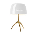 GobekUsa Glass Shade Table Lamp: Designer Tripod Desk Light for Bedroom