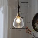 GobekUsa Clear Glass LED Pendant Light Fixture for Modern Home Decor
