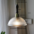 GobekUsa Glass Flower LED Pendant Light, Adjustable Knob Switch, Modern Design