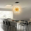 GobekUsa Dandelion Sea Urchin Chandelier LED Indoor Lighting.