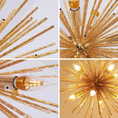 GobekUsa Dandelion Sea Urchin Chandelier LED Indoor Lighting.