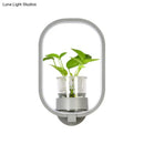 GobekUsa Macaron Metal LED Wall Sconce with Plant Pot for Bedroom - Grey/Yellow/Blue
