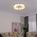 GobekUsa LED Ceiling Light Stainless Steel Glass Parlor Bedroom Fixture