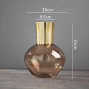 GobekUsa Gold Metal Glass Vase: Round Transparent Terrarium for Home Decor & Flower Arrangement