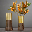 GobekUsa Gold Metal Glass Vase: Round Transparent Terrarium for Home Decor & Flower Arrangement