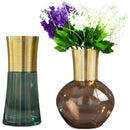 GobekUsa Gold Metal Glass Vase: Round Transparent Terrarium for Home Decor & Flower Arrangement