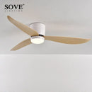 GobekUsa LED Ceiling Fan with Remote Control, Modern Design, Bedroom Decor, 220V