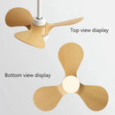 GobekUsa 24-Inch Mini Ceiling Fan with Lights, Modern Design for Home and Office