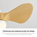 GobekUsa 24-Inch Mini Ceiling Fan with Lights, Modern Design for Home and Office