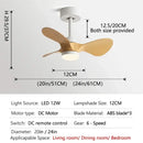 GobekUsa 24-Inch Mini Ceiling Fan with Lights, Modern Design for Home and Office
