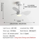 GobekUsa 24-Inch Mini Ceiling Fan with Lights, Modern Design for Home and Office