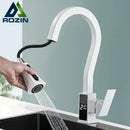 GobekUsa Black Brass Kitchen Faucet with Digital Temperature Display & Dual Water Sprayer