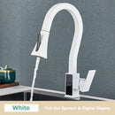 GobekUsa Black Brass Kitchen Faucet with Digital Temperature Display & Dual Water Sprayer