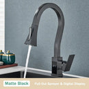 GobekUsa Black Brass Kitchen Faucet with Digital Temperature Display & Dual Water Sprayer