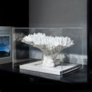 GobekUsa Coral Tree Sculpture Decorative Ornament for Modern Aesthetics