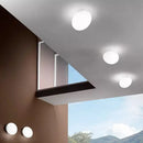GobekUsa Glass Egg Wall Sconces Lamp Ceiling Light with E27 Led Bulb